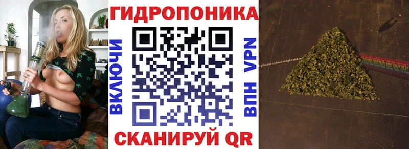 Где продают наркотики Чадан Гашиш  Cocaine  Амфетамин  Альфа ПВП  Канабис  МЕФ 