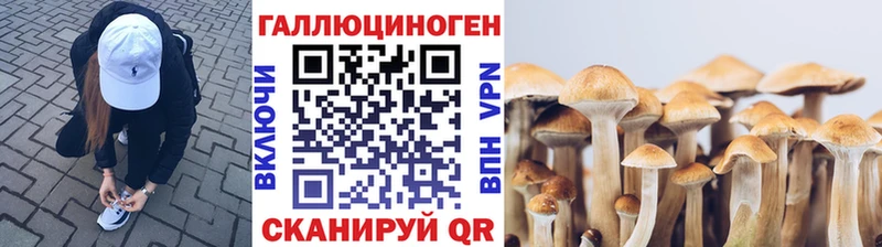 Галлюциногенные грибы Psilocybine cubensis  Чадан 